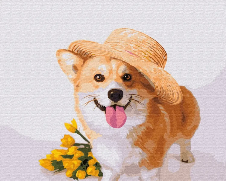 Картина за номерами Собачка джентльмен  Brushme 40x50