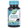 Стандартизированная черника Nature's Way (Bilberry Standardized) 90 капсул