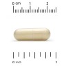 Бенфотиамин с L-лейцином 150 мг California Gold Nutrition (Benfotiamine with L-Leucine) 90 растительных капсул
