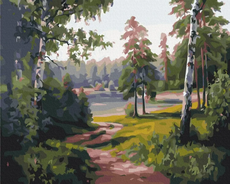 Картина за номерами Березова долина  Brushme 40x50