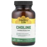 Холин (Choline) 293 мг 100 таблеток