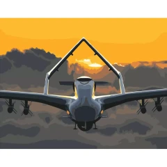 Картина по номерам Байрактор на закате 40x50 Strateg