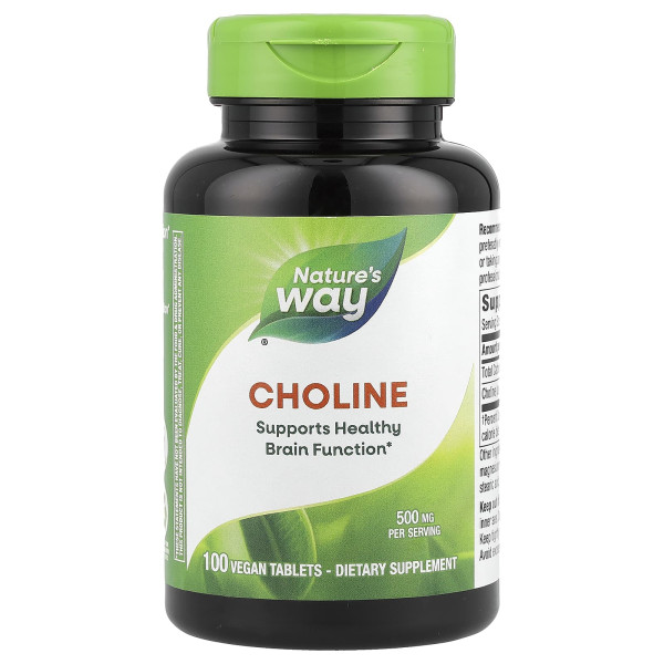 Холін Nature's Way (Choline) 500 мг 100 таблеток