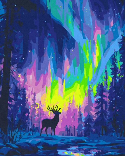 Картина по номерам Полярное сияние 40x50 Brushme