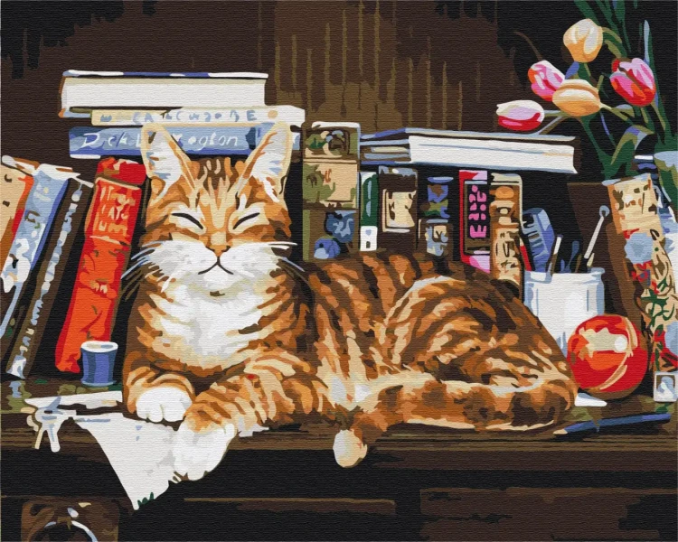 Картина за номерами Кіт на книжковій полиці  Brushme 40x50