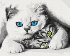 Премиум картина по номерам Муркотики Brushme 40x50