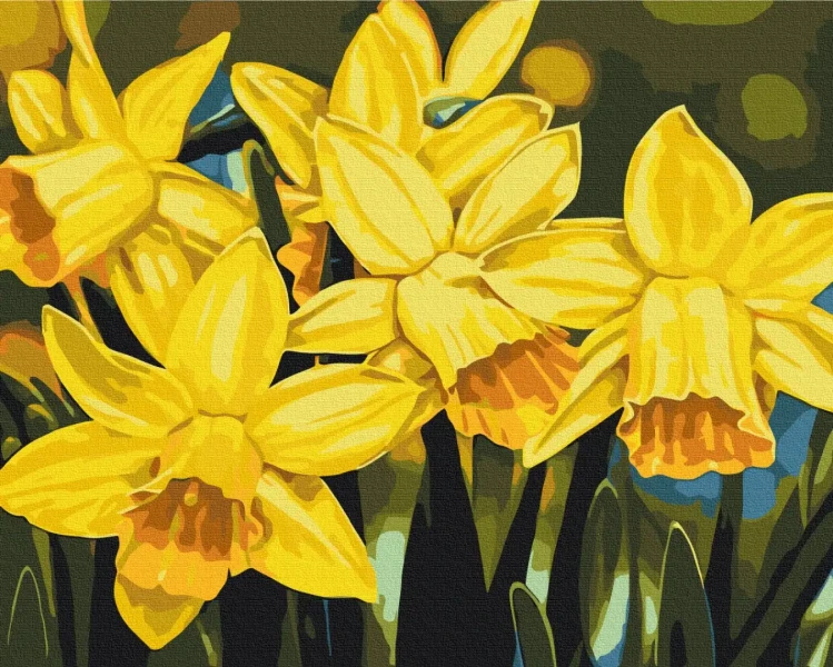 Картина за номерами Нарциси © Anastasiia Osmolovska  Brushme 48x60