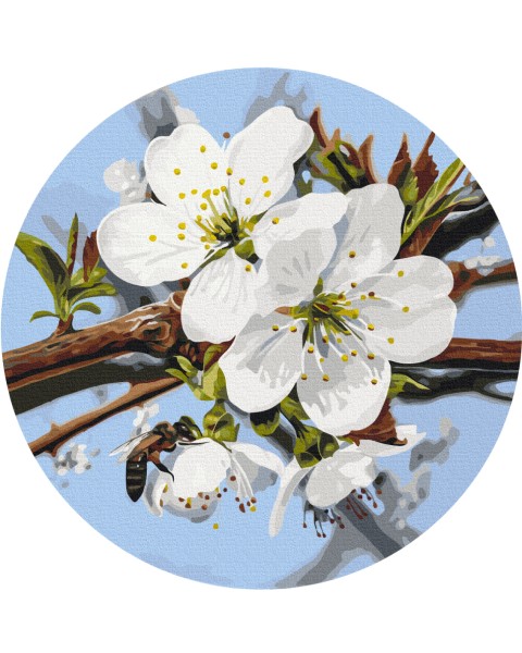 Картина по номерам круглая Яблоневый цвет © Anastasiia Osmolovska 40 х 40 Brushme