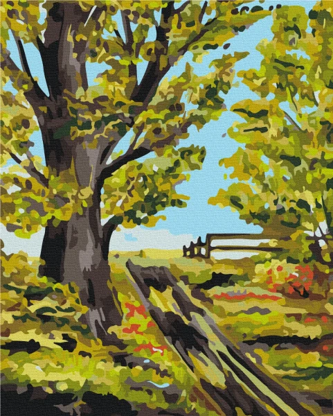Картина за номерами Старий дуб © Bona 40x50 Brushme