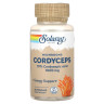 Solaray, гриби, кордицепс, 60 капсул VegCap
