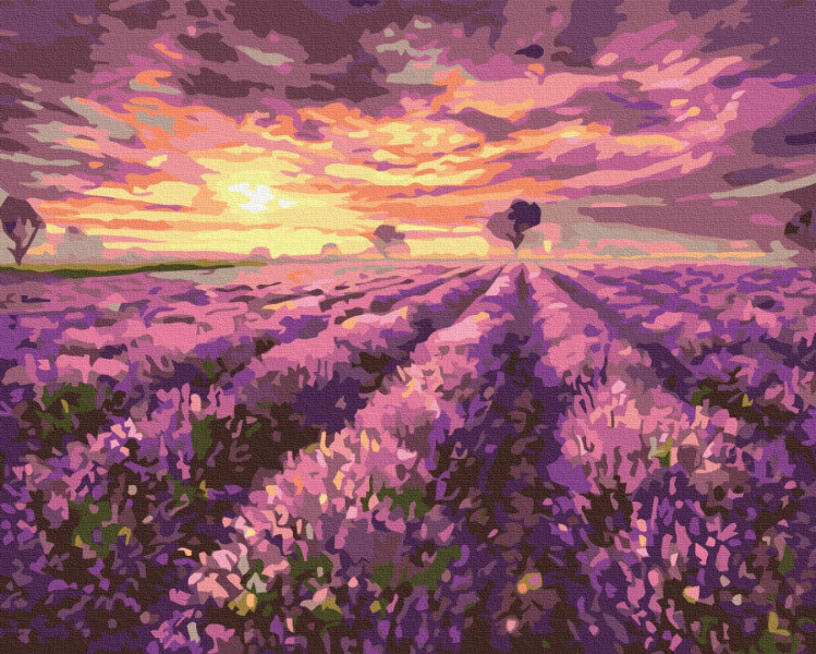 Картина за номерами Лавандовий захід сонця 40x50 Brushme