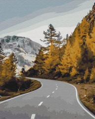 Преміум картина за номерами Пейзажна дорога Brushme 40x50