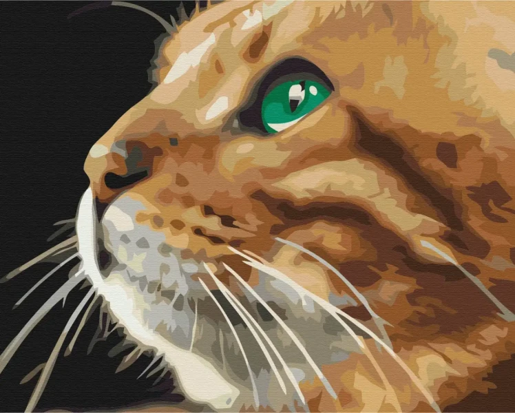 Картина за номерами Погляд рижулі  Brushme 40x50