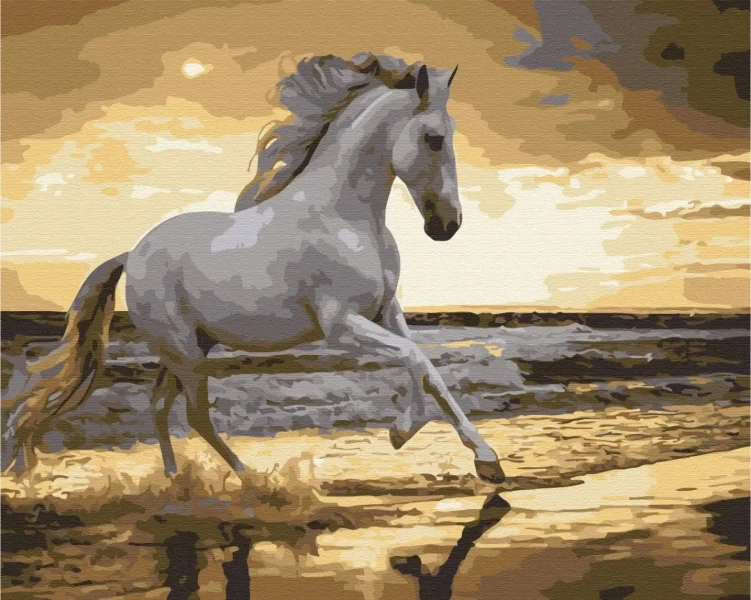 Картина за номерами Біг риссю на узбережжі  Brushme 48x60