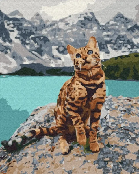 Преміум картина за номерами Улюбленець в горах Brushme 40x50