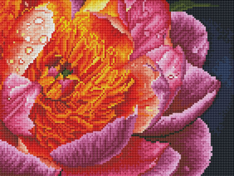 Алмазна мозаїка Барвиста півонія 30x40 Brushme
