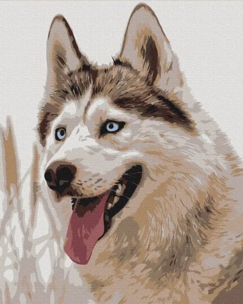 Преміум картина за номерами Сіроманець Brushme 40x50