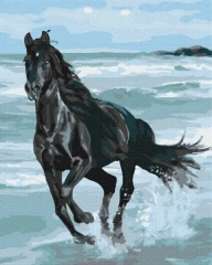Преміум картина за номерами Чорний кінь Brushme 40x50
