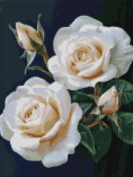 Алмазная мозаика Розы на черном фоне 30 х 40 Brushme