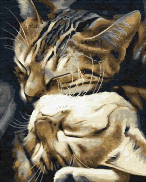 Картина за номерами Сплячі котики  Brushme 48x60