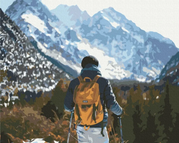 Картина за номерами Мандрівник в горах  Brushme 40x50