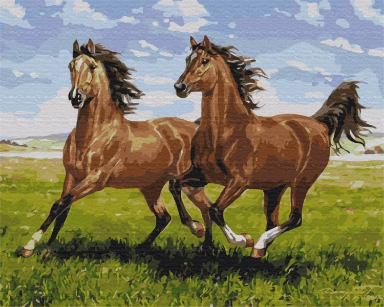 Картина за номерами Скакуни на пробіжці  Brushme 40x50