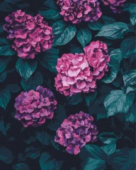 Картина за номерами Казкова гортензія 40x50 Brushme
