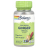 Solaray, True Herbs, імбир, 100 капсул VegCaps (550 мг на капсулу)