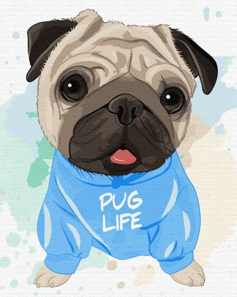 Картина по номерам Яркий мопсик Brushme 40x50