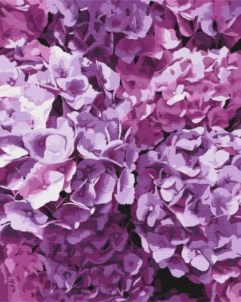 Преміум картина за номерами Краса гортензій Brushme 40x50