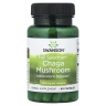Гриб Чага полного спектра Swanson (Chaga Mushroom) 400 мг 60 капсул
