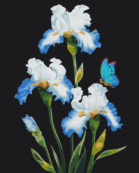Картина за номерами Іриси © Anna Steshenko  Brushme 40x50