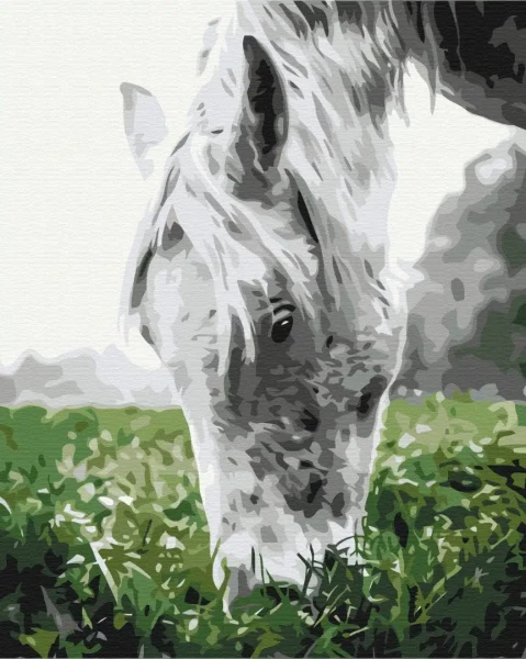 Картина за номерами Cіра конячка  Brushme 48x60