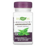 Андографіс Nature's Way (Andrographis) 300 мг 60 капсул