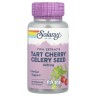 Екстракт вишні та насіння селери Solaray (Tart Cherry Celery Seed) 620 мг 60 капсул
