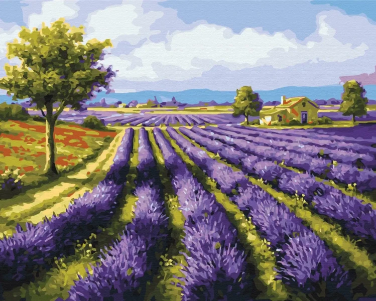 Картина за номерами Лавандові поля  Brushme 40x50