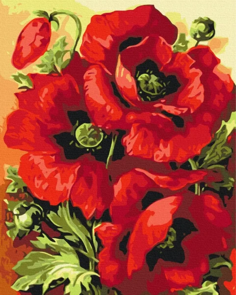 Картина за номерами Принт в маках  Brushme 48x60