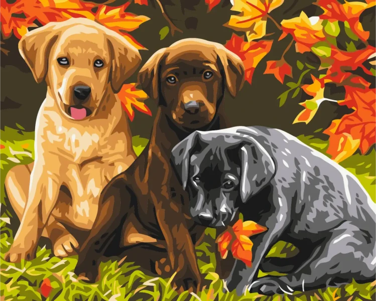 Картина за номерами Три цуценя  Brushme 40x50