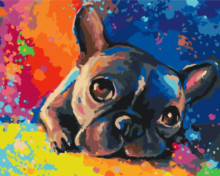Преміум картина за номерами Кольоровий бульдог Brushme 40x50