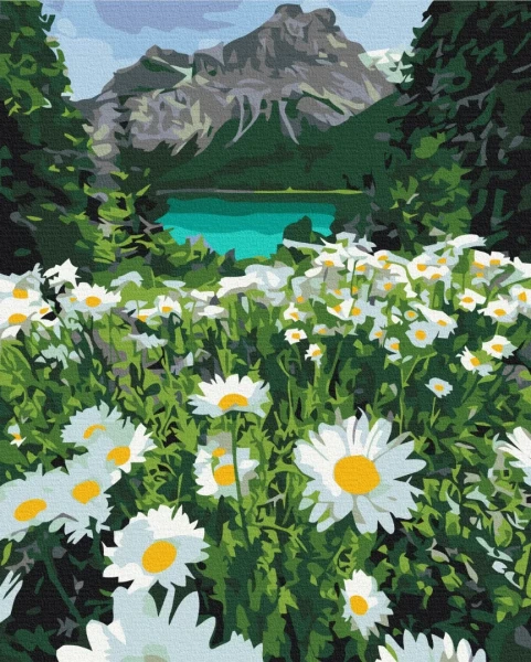 Картина за номерами Ромашки біля гір 40x50 Brushme