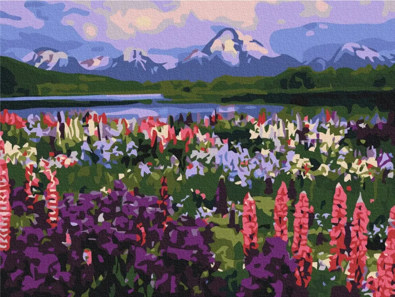 Картина по номерам Долина полевых цветов Brushme 30x40