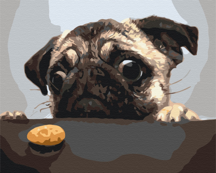 Картина за номерами Мопс 40x50 Brushme