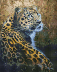 Алмазна мозаїка/вишивка Граціозний хижак 40x50 Ideyka