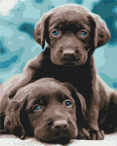 Картина за номерами Блакитноокі цуценята  Brushme 40x50