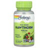 Глід (Hawthorn) 525 мг 100 капсул
