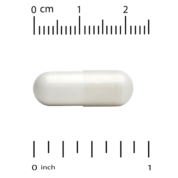 Комплекс цинк-L-карнозин (Zinc-L-Carnosine Complex) 90 капсул