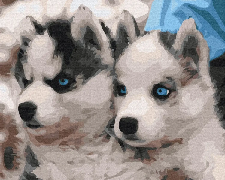 Картина за номерами Цуценята хаскі  Brushme 48x60