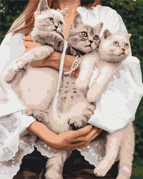 Преміум картина за номерами Улюблені муркотики Brushme 40x50