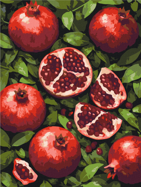 Картина по номерам Гранатовый рай 30x40 Brushme