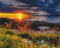 Преміум картина за номерами Недоторкана природа Brushme 40x50